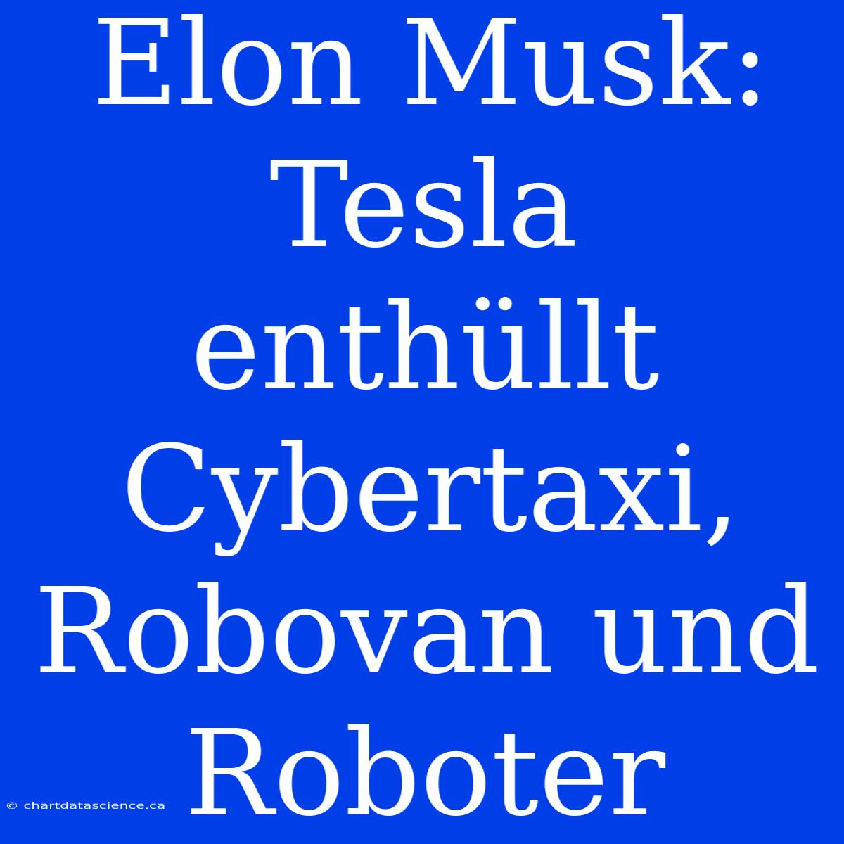 Elon Musk: Tesla Enthüllt Cybertaxi, Robovan Und Roboter