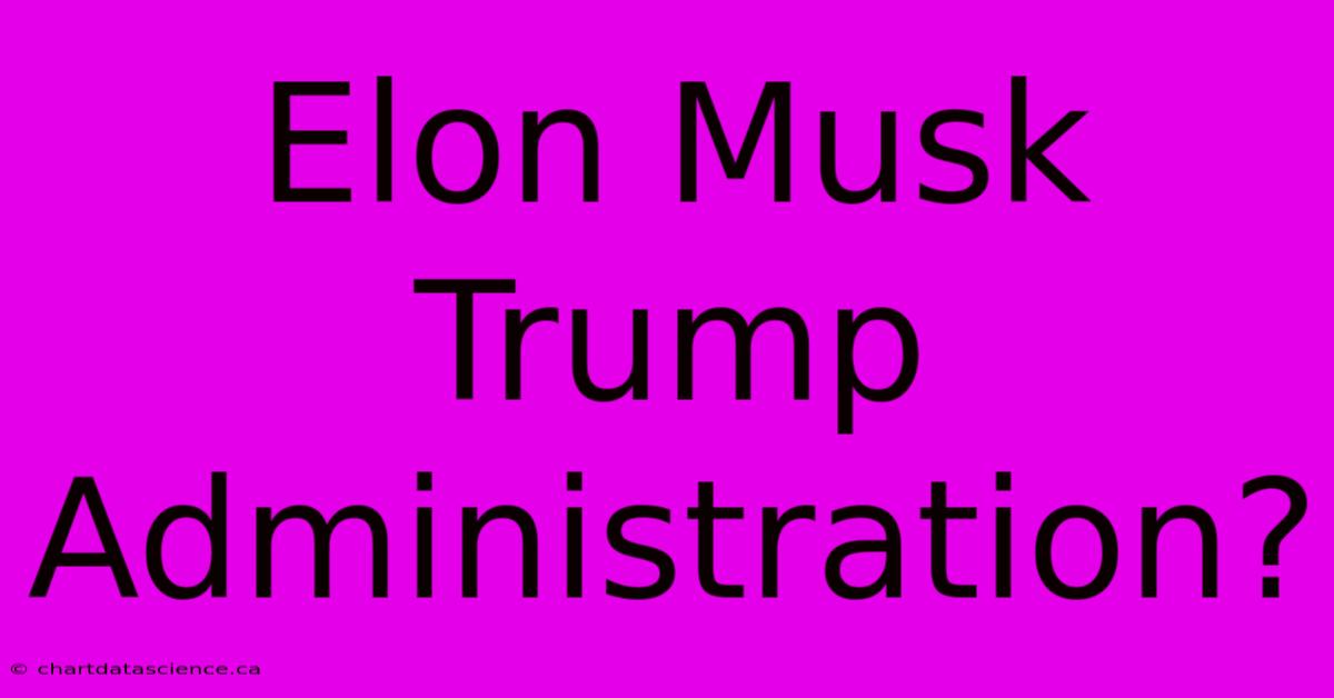 Elon Musk Trump Administration?