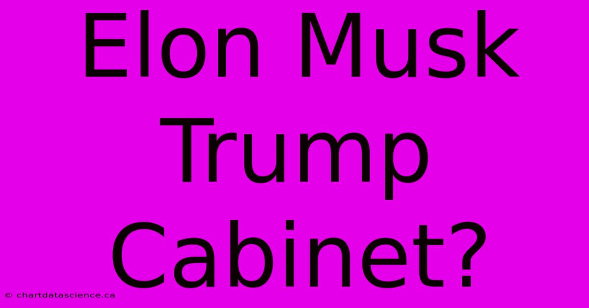 Elon Musk Trump Cabinet?