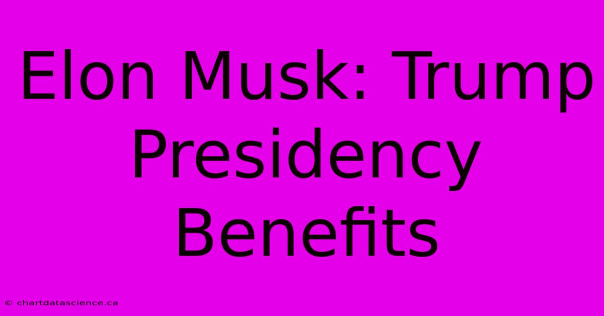 Elon Musk: Trump Presidency Benefits