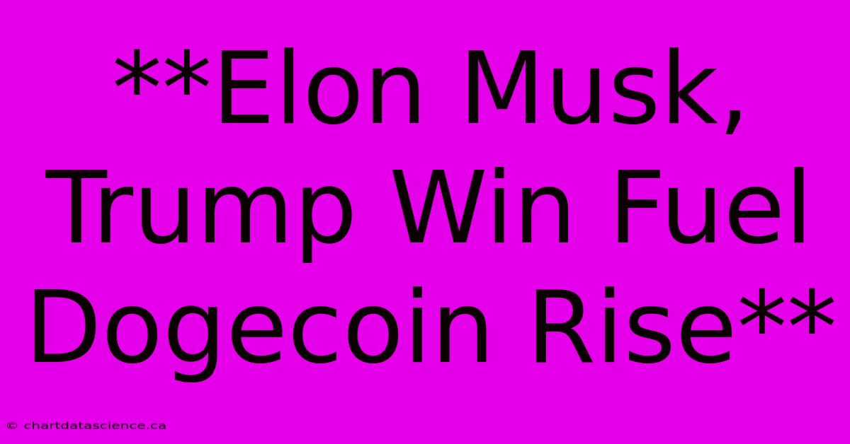 **Elon Musk, Trump Win Fuel Dogecoin Rise**