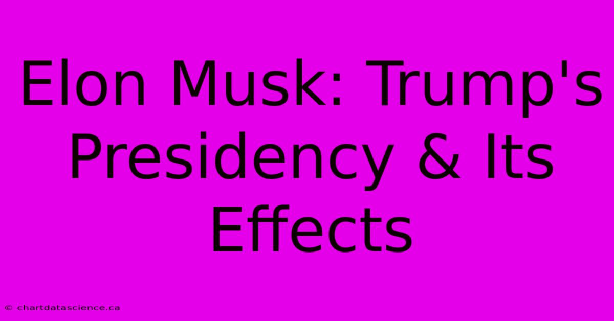 Elon Musk: Trump's Presidency & Its Effects 