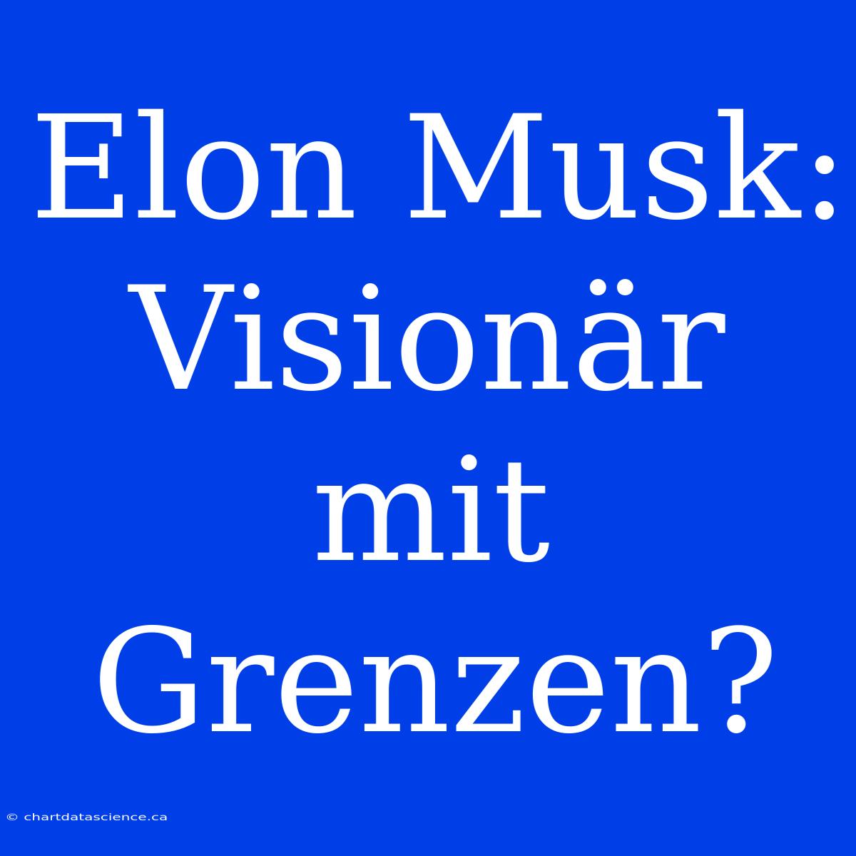 Elon Musk: Visionär Mit Grenzen?