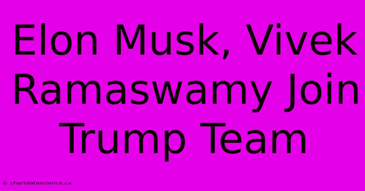 Elon Musk, Vivek Ramaswamy Join Trump Team