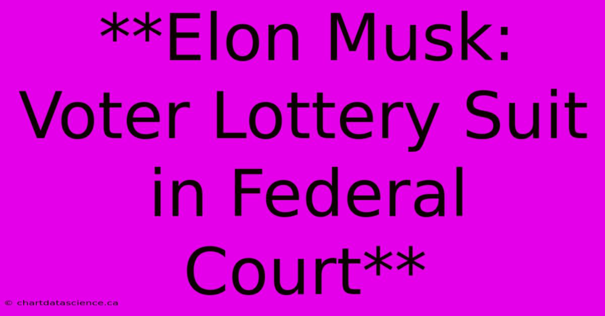 **Elon Musk: Voter Lottery Suit In Federal Court**