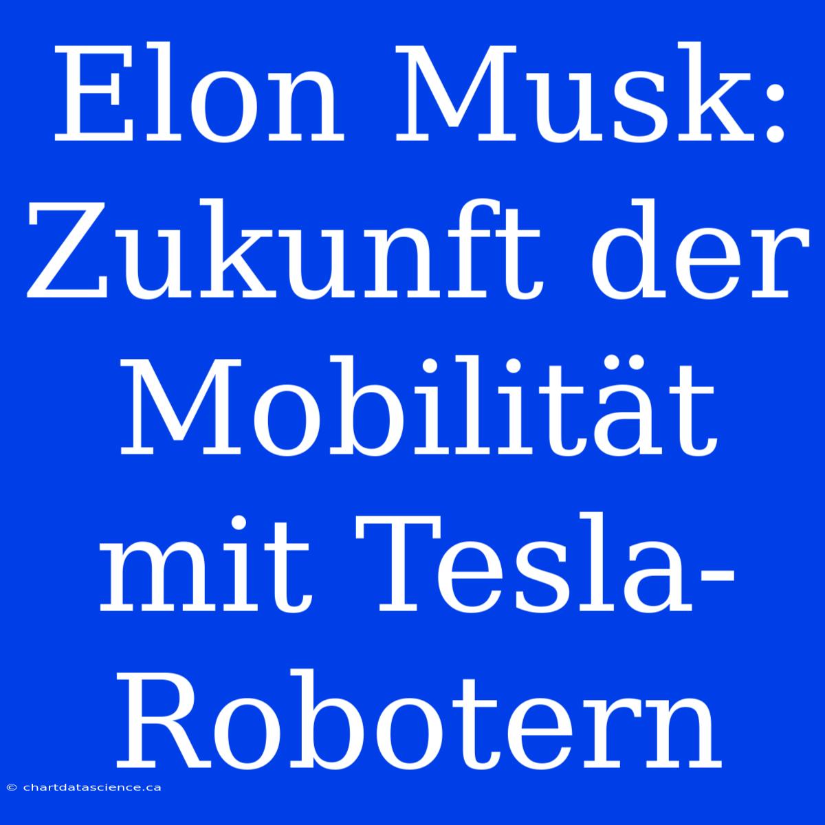 Elon Musk: Zukunft Der Mobilität Mit Tesla-Robotern