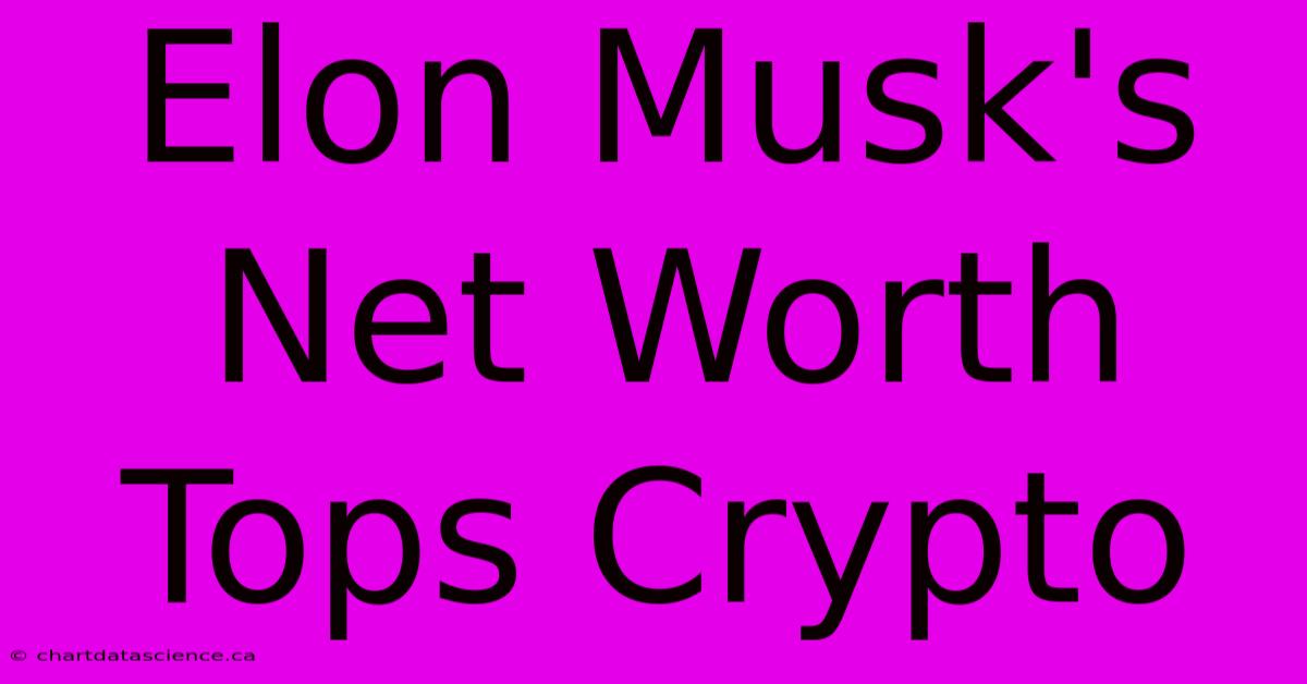 Elon Musk's Net Worth Tops Crypto