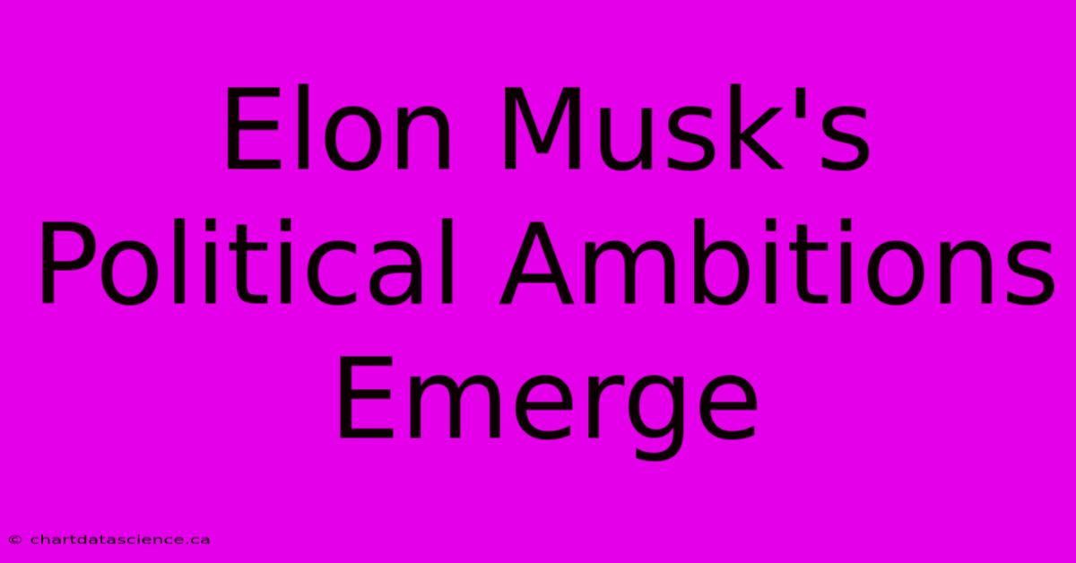 Elon Musk's Political Ambitions Emerge