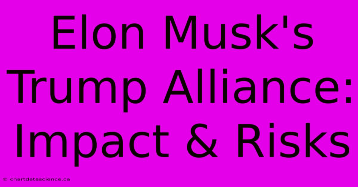 Elon Musk's Trump Alliance: Impact & Risks 