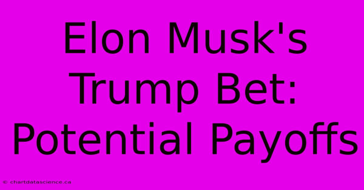 Elon Musk's Trump Bet: Potential Payoffs