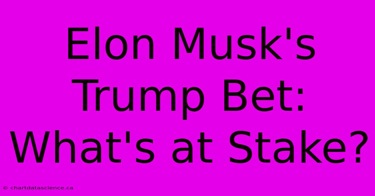 Elon Musk's Trump Bet: What's At Stake?