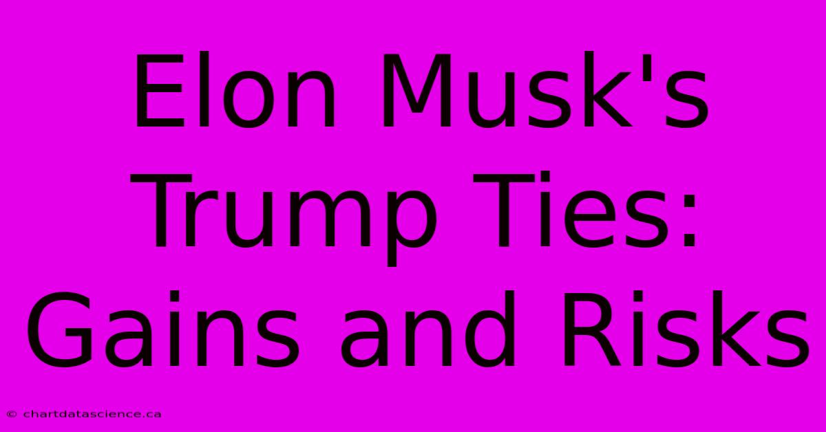 Elon Musk's Trump Ties: Gains And Risks