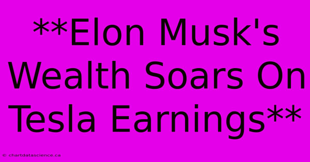 **Elon Musk's Wealth Soars On Tesla Earnings**