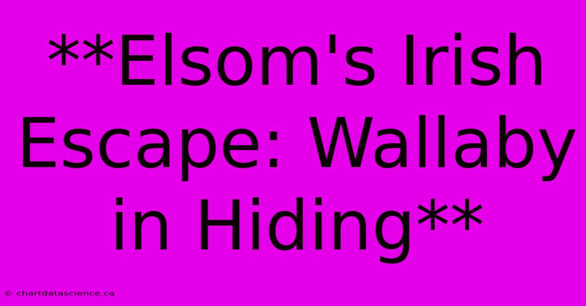 **Elsom's Irish Escape: Wallaby In Hiding** 