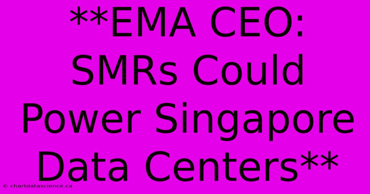 **EMA CEO: SMRs Could Power Singapore Data Centers**