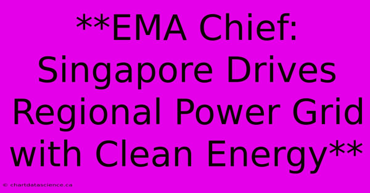 **EMA Chief: Singapore Drives Regional Power Grid With Clean Energy**