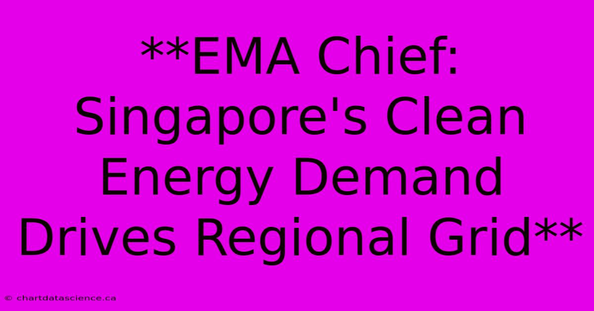 **EMA Chief: Singapore's Clean Energy Demand Drives Regional Grid** 