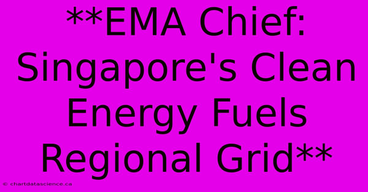 **EMA Chief: Singapore's Clean Energy Fuels Regional Grid**