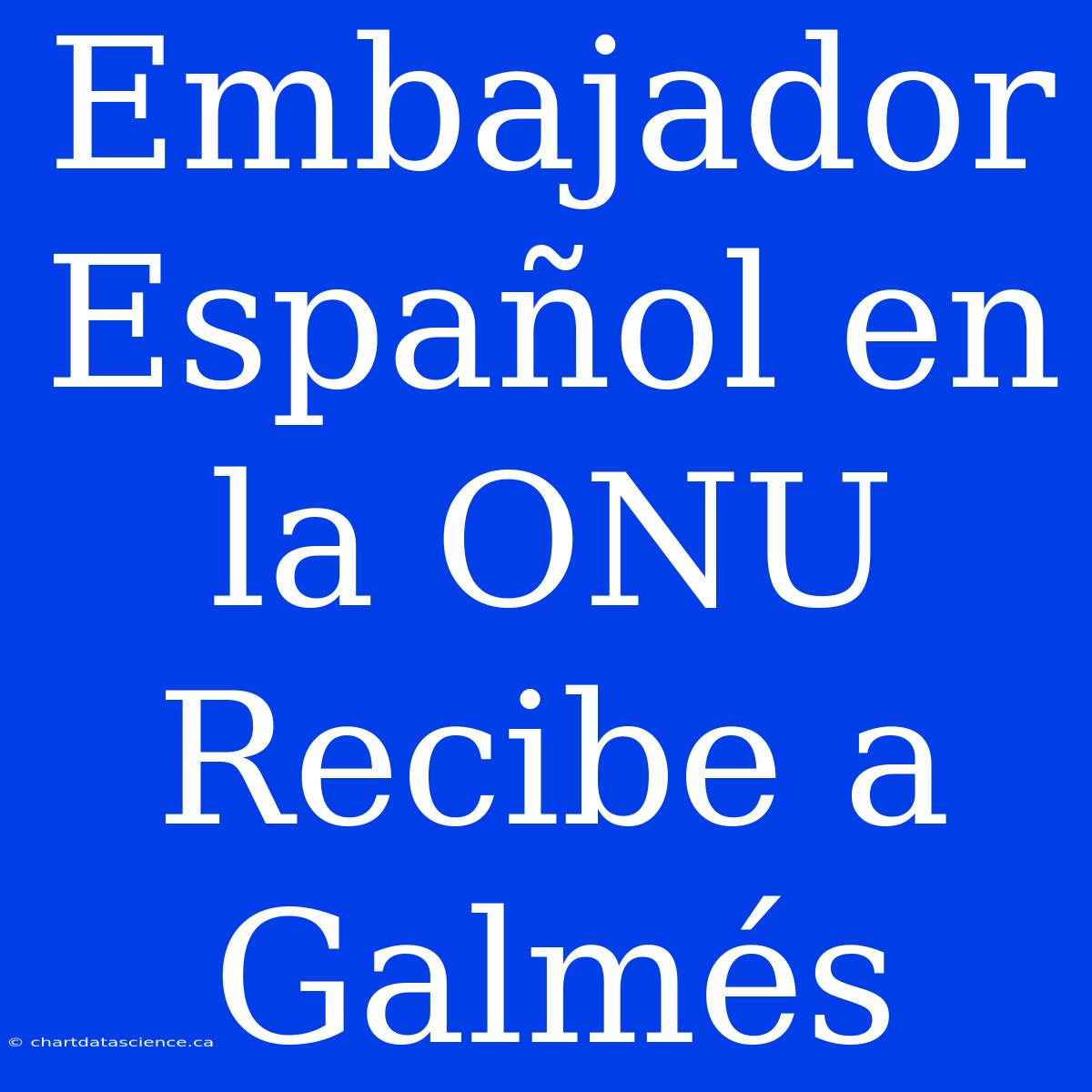 Embajador Español En La ONU Recibe A Galmés