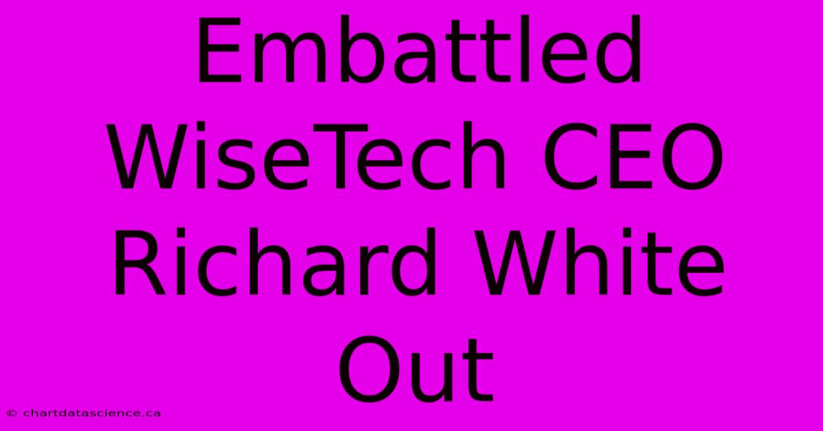 Embattled WiseTech CEO Richard White Out 