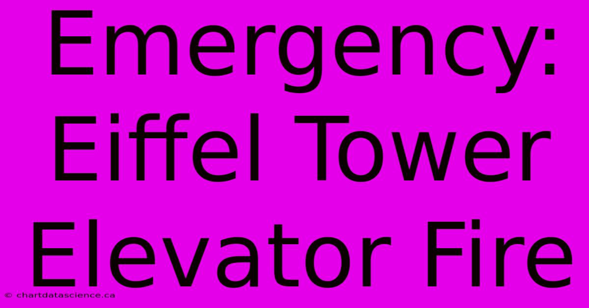 Emergency: Eiffel Tower Elevator Fire