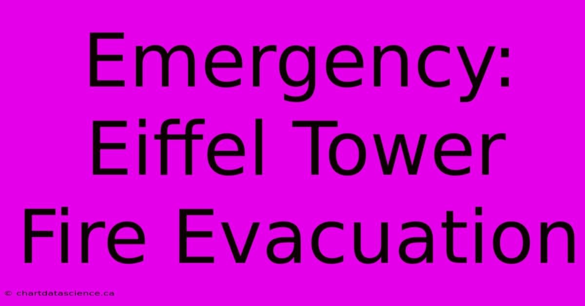 Emergency: Eiffel Tower Fire Evacuation