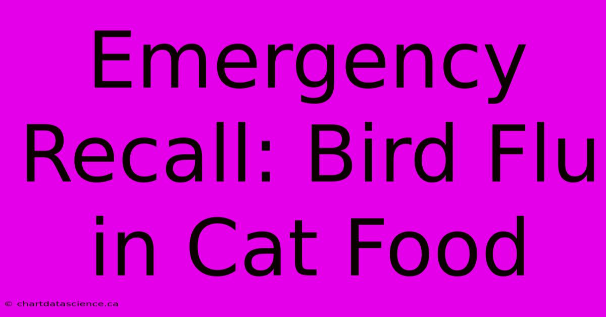 Emergency Recall: Bird Flu In Cat Food