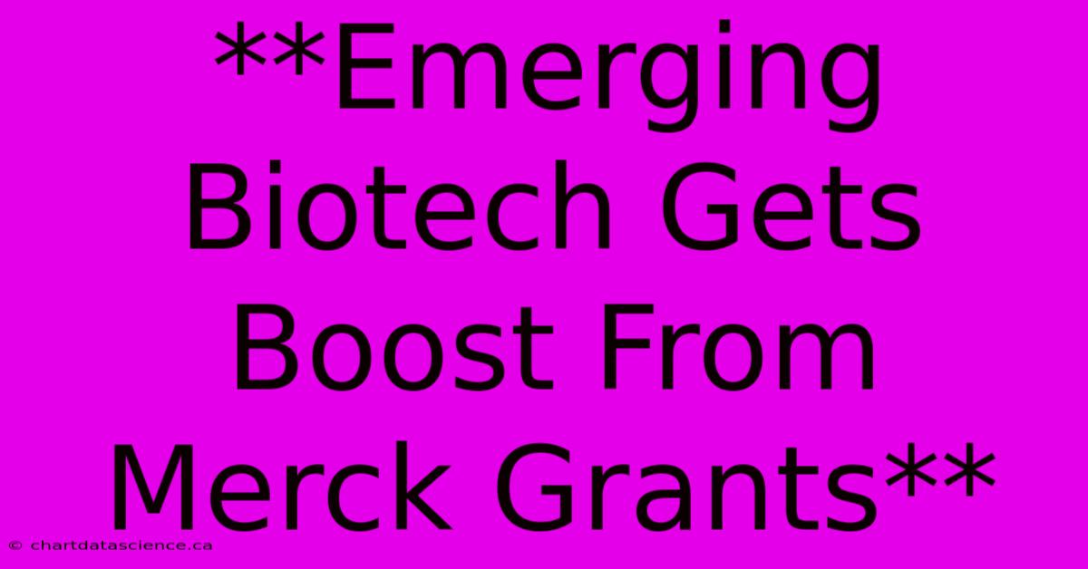 **Emerging Biotech Gets Boost From Merck Grants**