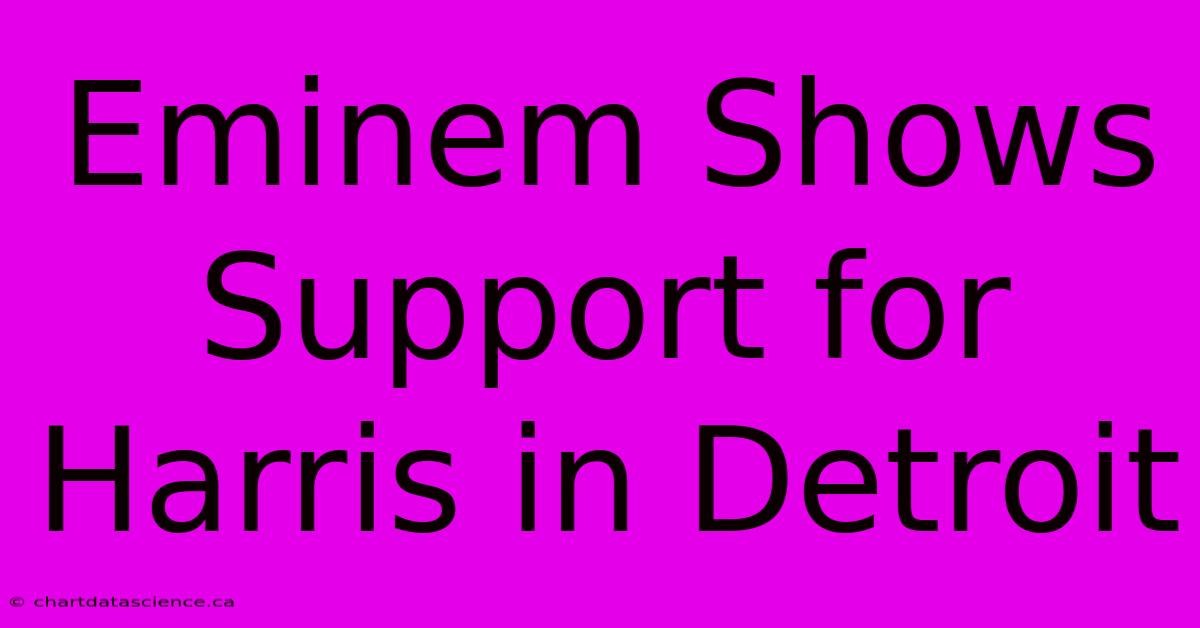 Eminem Shows Support For Harris In Detroit