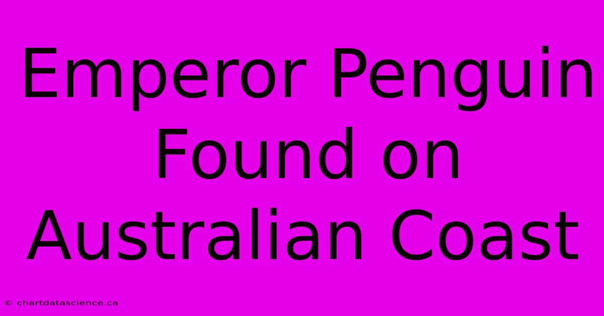 Emperor Penguin Found On Australian Coast