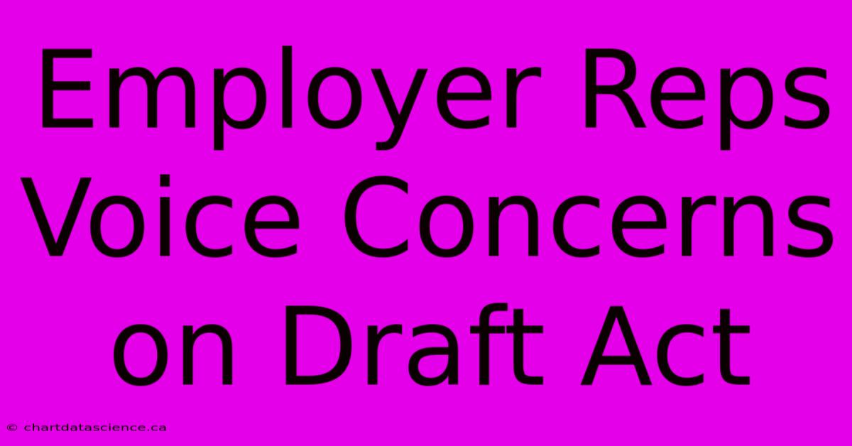 Employer Reps Voice Concerns On Draft Act