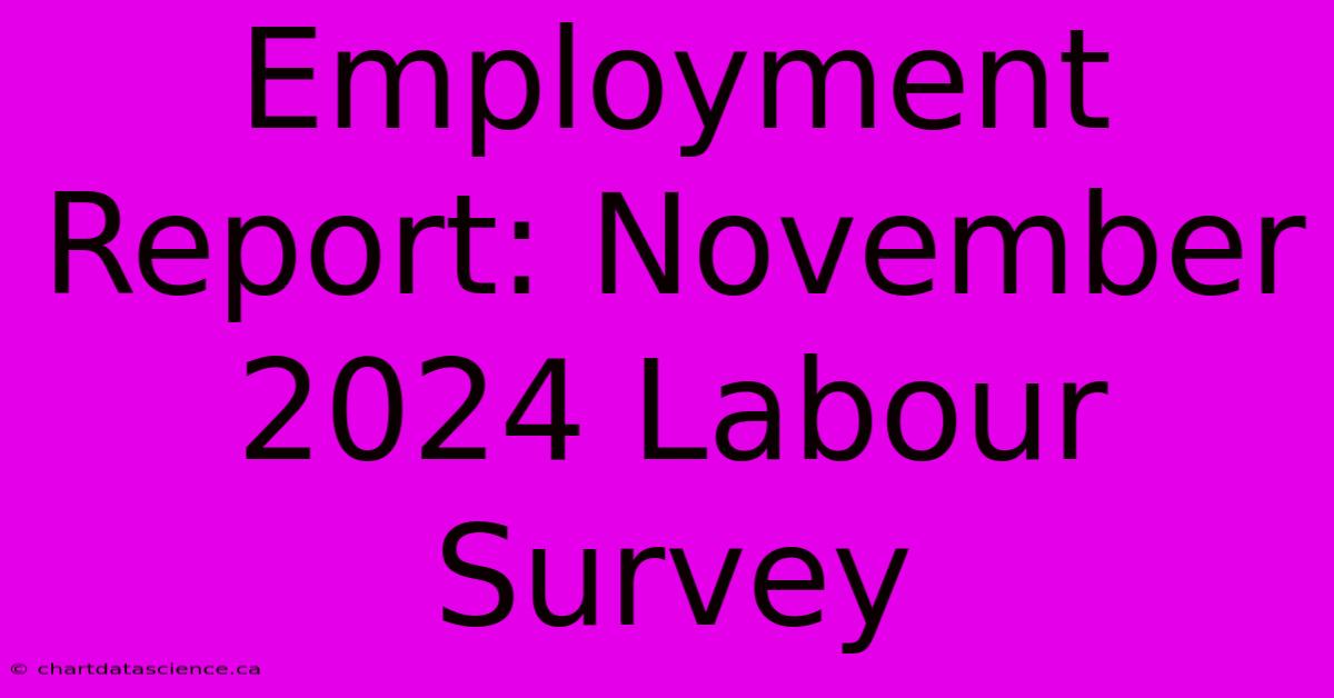 Employment Report: November 2024 Labour Survey