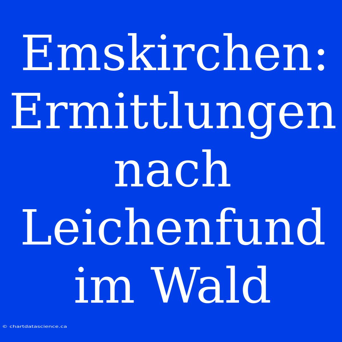 Emskirchen: Ermittlungen Nach Leichenfund Im Wald