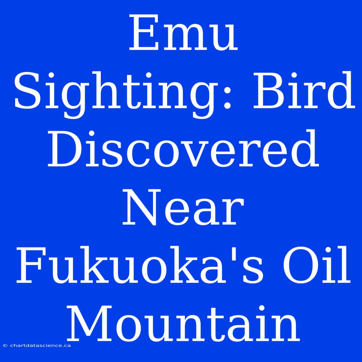 Emu Sighting: Bird Discovered Near Fukuoka's Oil Mountain