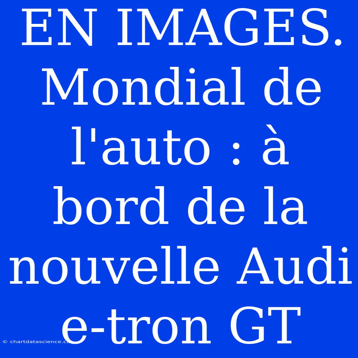 EN IMAGES. Mondial De L'auto : À Bord De La Nouvelle Audi E-tron GT