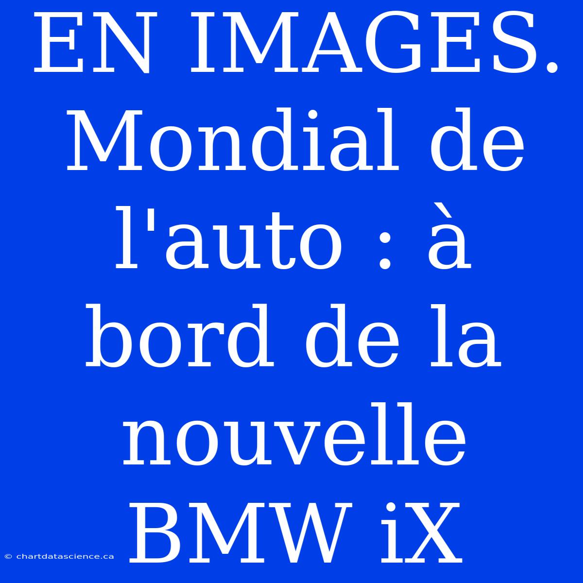 EN IMAGES. Mondial De L'auto : À Bord De La Nouvelle BMW IX