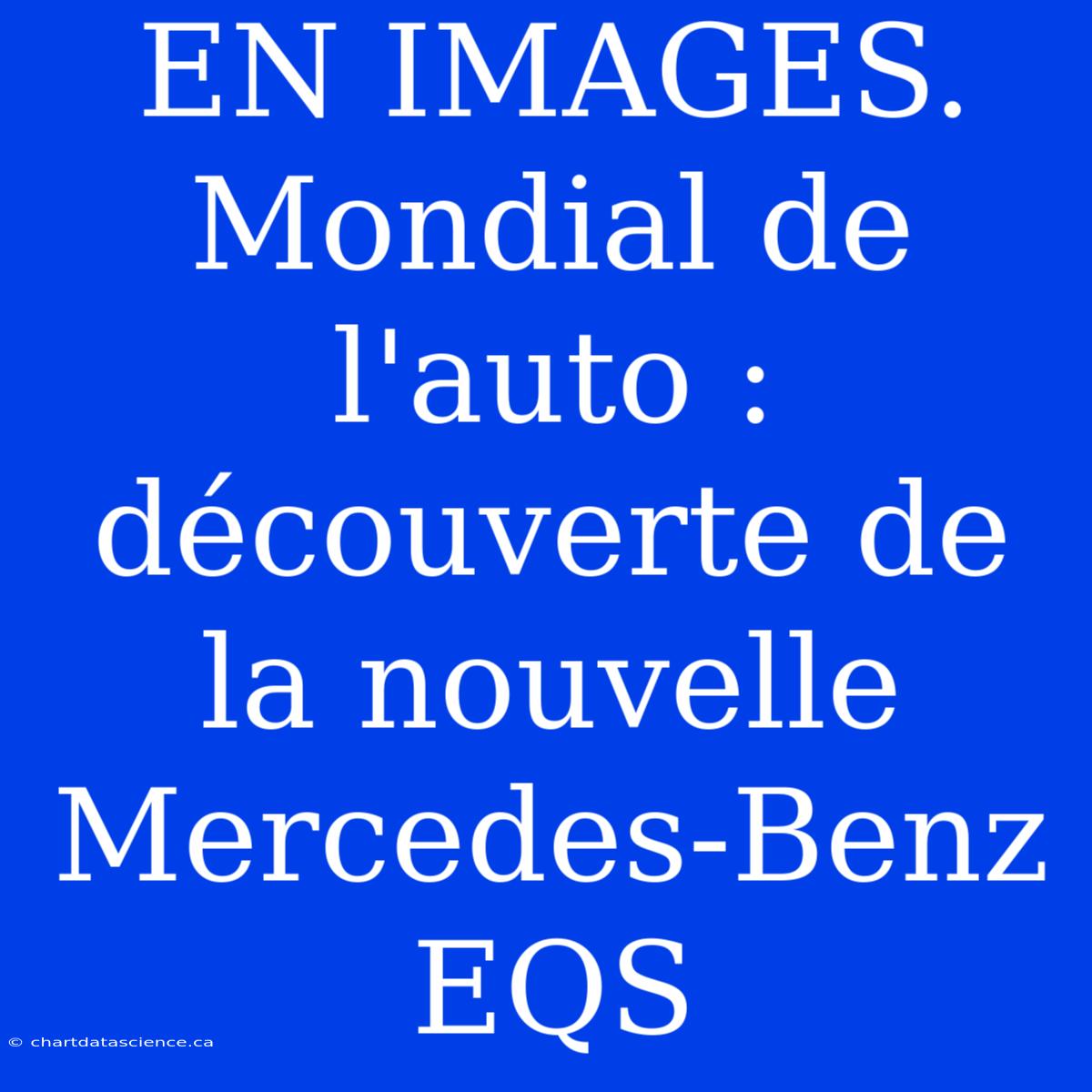 EN IMAGES. Mondial De L'auto : Découverte De La Nouvelle Mercedes-Benz EQS