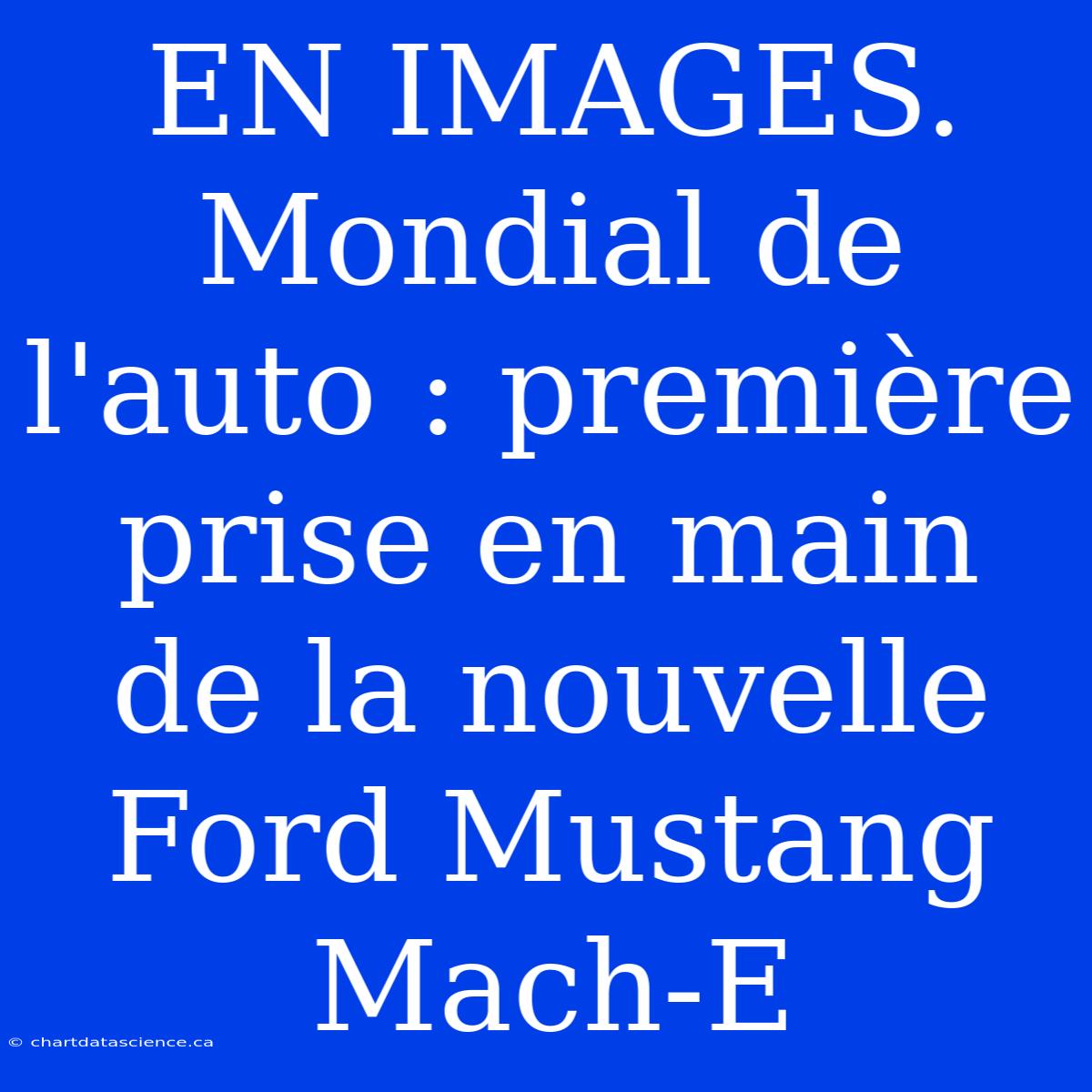 EN IMAGES. Mondial De L'auto : Première Prise En Main De La Nouvelle Ford Mustang Mach-E