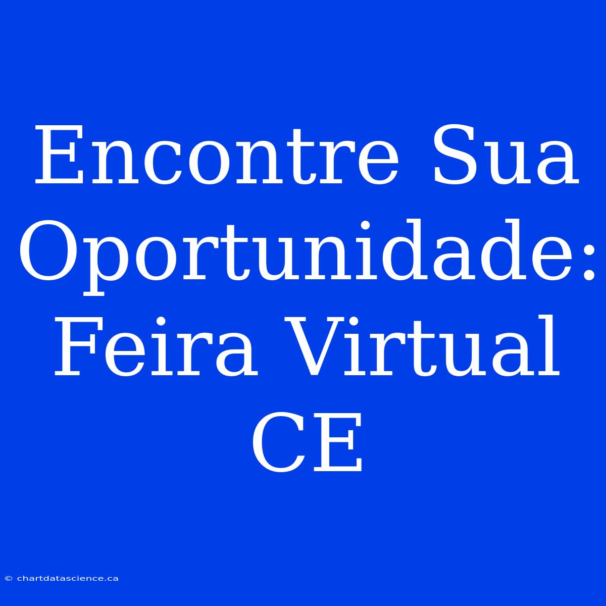 Encontre Sua Oportunidade: Feira Virtual CE