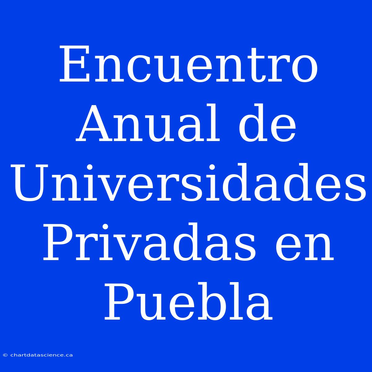 Encuentro Anual De Universidades Privadas En Puebla