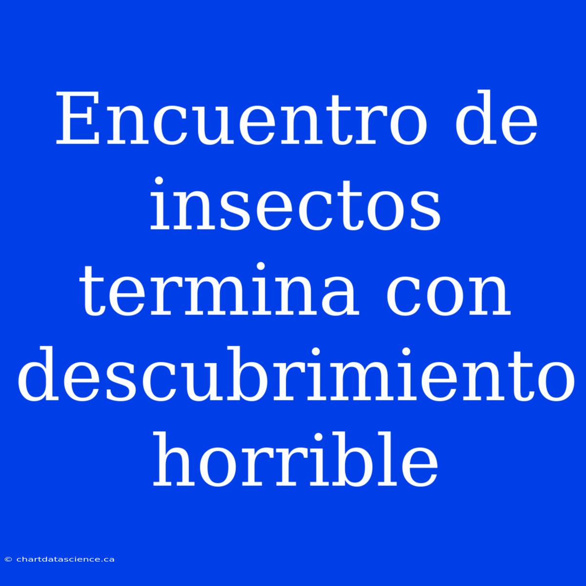 Encuentro De Insectos Termina Con Descubrimiento Horrible