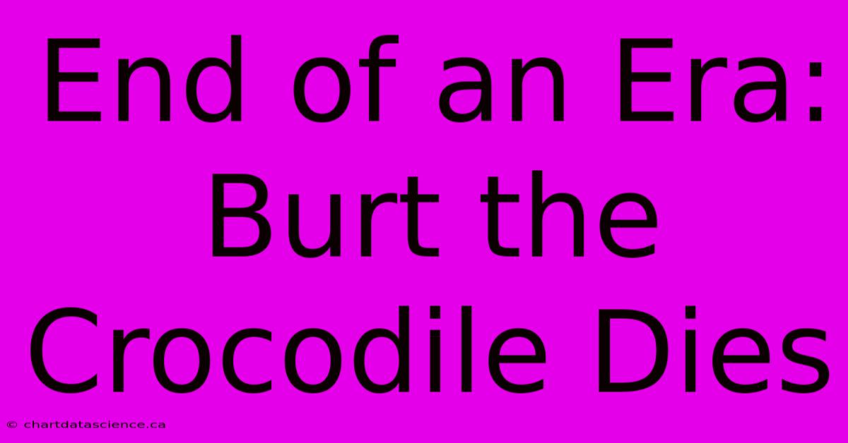 End Of An Era: Burt The Crocodile Dies