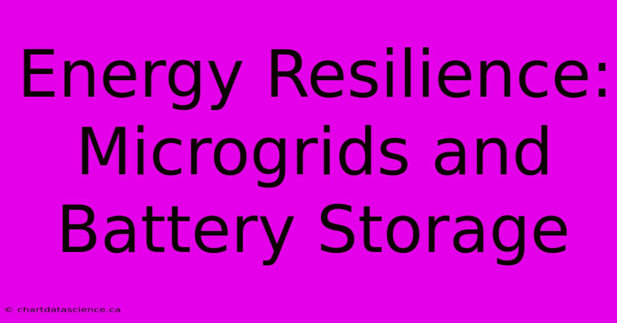 Energy Resilience: Microgrids And Battery Storage