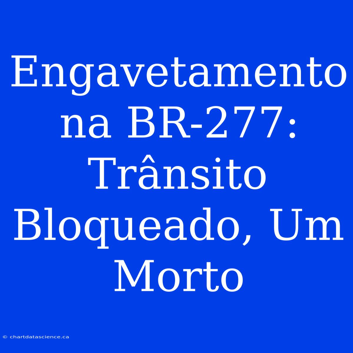 Engavetamento Na BR-277: Trânsito Bloqueado, Um Morto