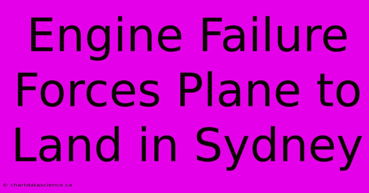 Engine Failure Forces Plane To Land In Sydney