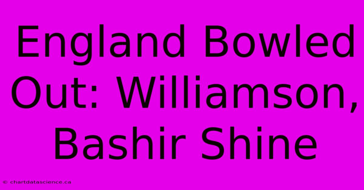 England Bowled Out: Williamson, Bashir Shine