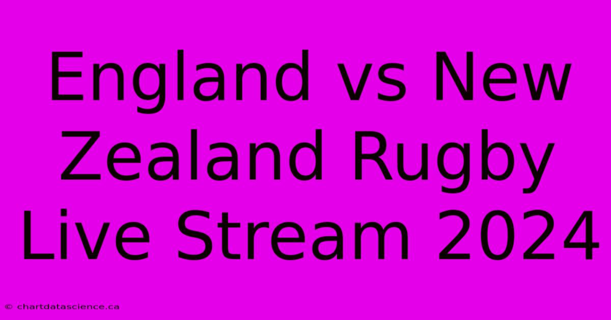 England Vs New Zealand Rugby Live Stream 2024