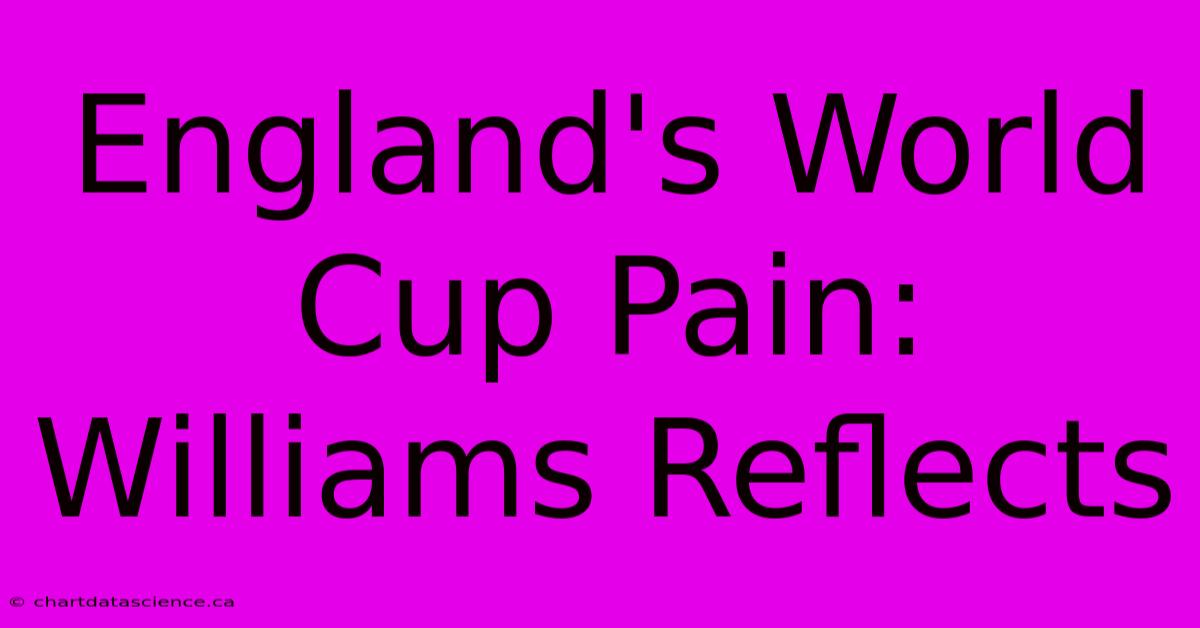 England's World Cup Pain: Williams Reflects