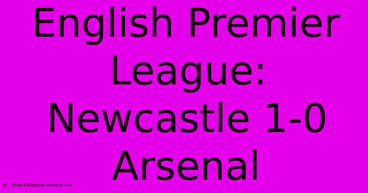 English Premier League: Newcastle 1-0 Arsenal