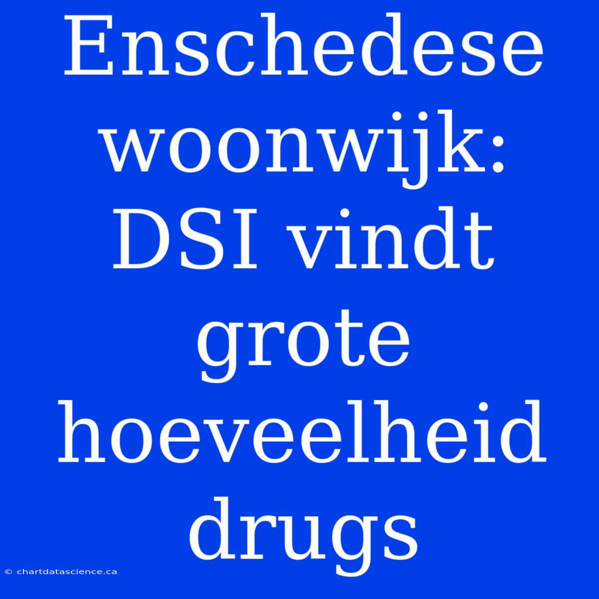 Enschedese Woonwijk: DSI Vindt Grote Hoeveelheid Drugs